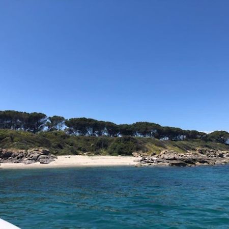 Appart. / Clim / Piscine / Mer A 300M Διαμέρισμα Linguizzetta Εξωτερικό φωτογραφία